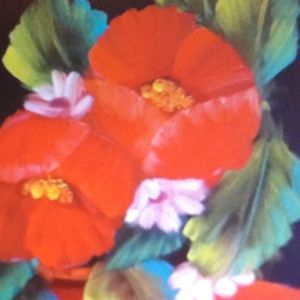 Meet your Posher, Teresa